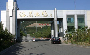 海馬地毯-展現(xiàn)中國(guó)地毯業(yè)"龍頭老大"精神面貌